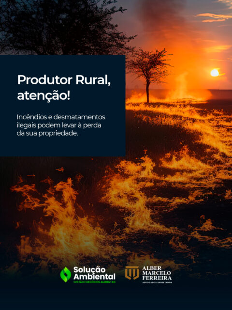 Incêndios e desmatamentos ilegais não trazem só prejuízo à natureza — eles podem resultar em sanções severas, que incluem desde multas até perda parcial ou total da área, conforme a legislação ambiental brasileira.
Quer entender como isso funciona na prática? Estamos aqui para te orientar.
