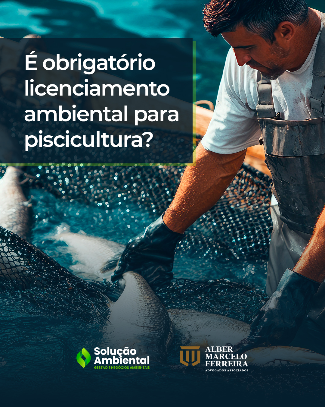 Para atividades de piscicultura em águas continentais, o licenciamento ambiental é obrigatório. 🐟📄

Isso porque a criação de peixes provoca alterações nos corpos hídricos, como:

redução do oxigênio dissolvido

aumento da turbidez

elevação dos níveis de nitrogênio (N) e fósforo (P)

Um dos principais impactos ambientais da piscicultura é o acúmulo de matéria orgânica, que pode comprometer a qualidade da água e os biomas aquáticos. Por esse motivo, a atividade deve ser previamente analisada e autorizada pelo órgão ambiental competente.

⚖️ O licenciamento deve observar, entre outras normas:

Lei nº 12.651/2012 (Código Florestal)

Lei nº 11.959/2009

Lei nº 11.428/2006

Portaria IBAMA nº 145/1998

Resoluções CONAMA nº 357/2005, 413/2009 e 459/2013

Decreto nº 4.895/2003

🌱 Produção aquícola com responsabilidade ambiental é sinônimo de segurança jurídica.

#direitoambiental #piscicultura #licenciamentoambiental #direitorural #engenhariaambiental #criacaodepeixes #advocaciaambiental #meioambiente
